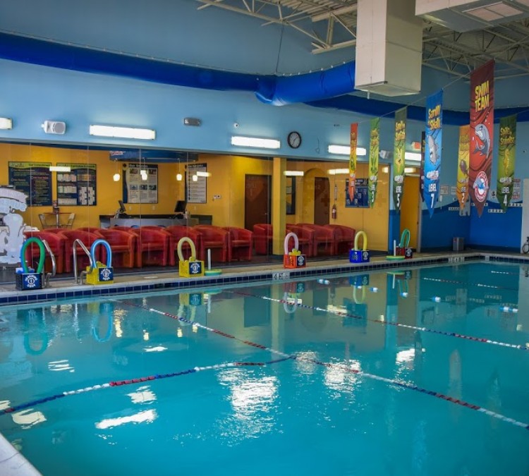 aqua-tots-swim-schools-west-frisco-photo
